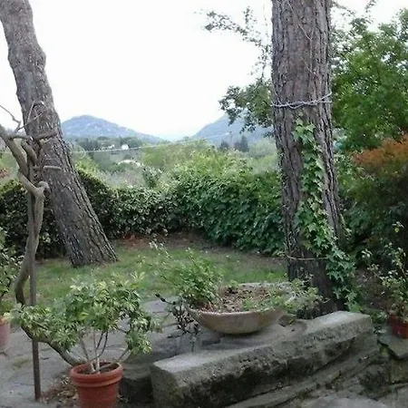 Poggio Oliva Fiesole