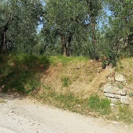Hotel Poggio Oliva 3*