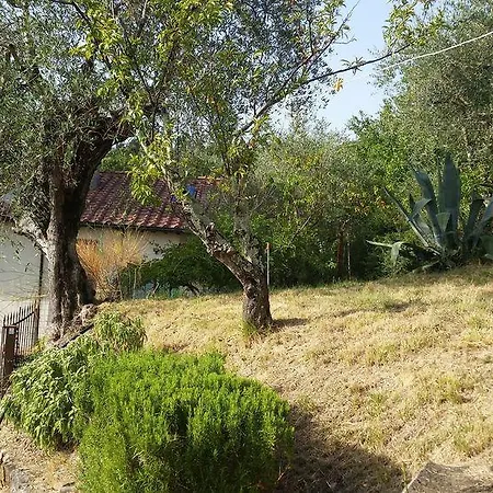 Poggio Oliva Hotel 3*