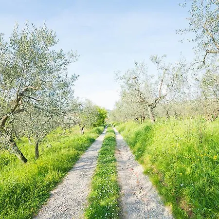 Poggio Oliva Fiesole
