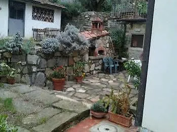 Poggio Oliva Fiesole
