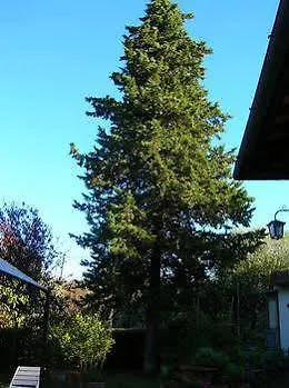 Poggio Oliva 3*